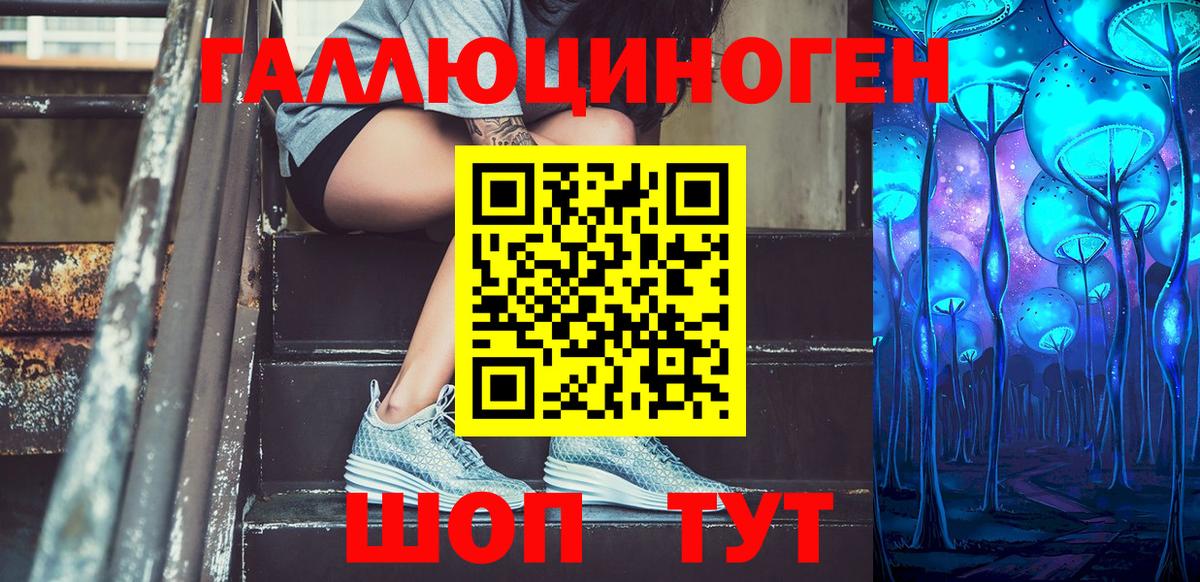 Псилоцибиновые грибы Cubensis Скопин