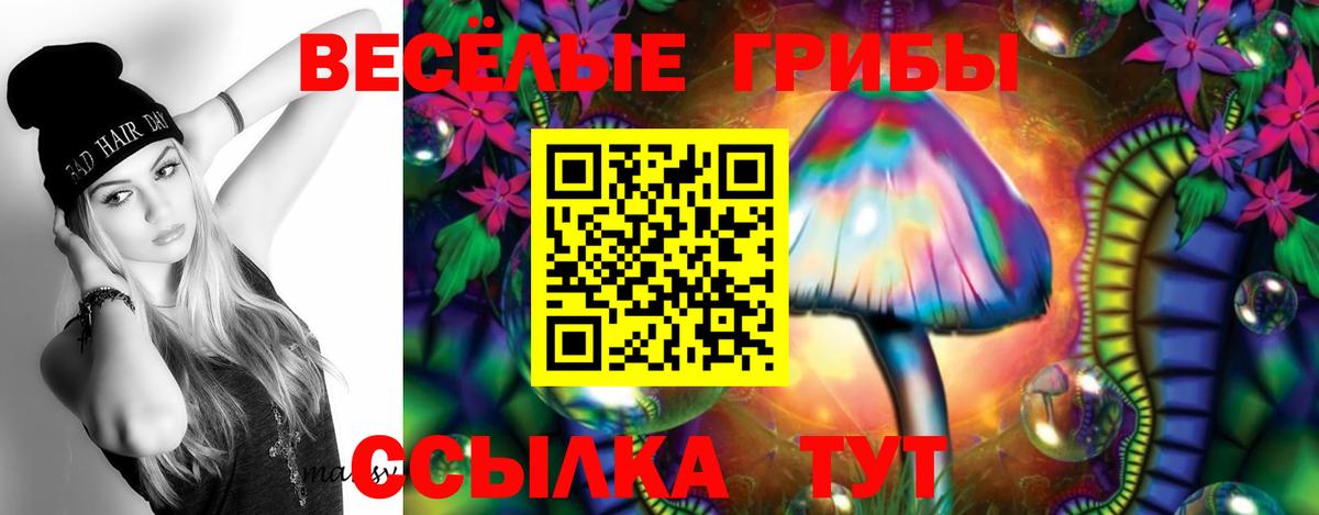 Галлюциногенные грибы Psilocybine cubensis  где продают   Скопин  Вход с VPN 